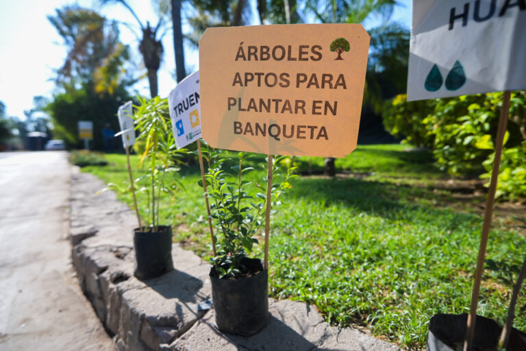 Exitosa jornada de entrega de plantas ornamentales y árboles en el Vivero Municipal de Aguascalientes