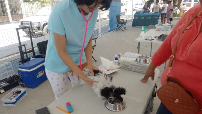 Servicios gratuitos de la Clínica Veterinaria Móvil llegarán a Pozo Bravo en mayo