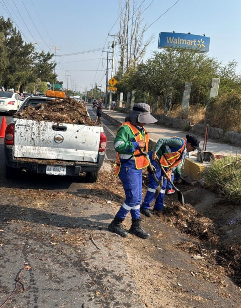 Ayuntamiento de Aguascalientes intensifica limpieza de caimanes y canaletas