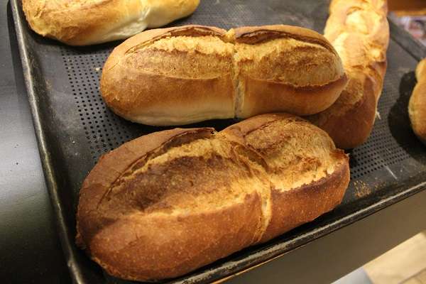 ¿El bolillo también sube? Insumos importados presionan al gremio panadero en Aguascalientes