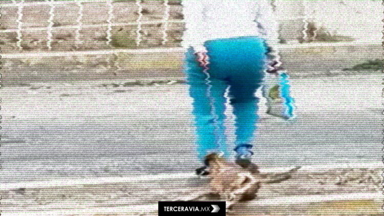 Caso de la perrita arrastrada en Pachuca expone fallas en protección animal en Hidalgo