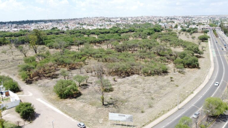 Así sería el fraccionamiento que se va a construir en La Pona