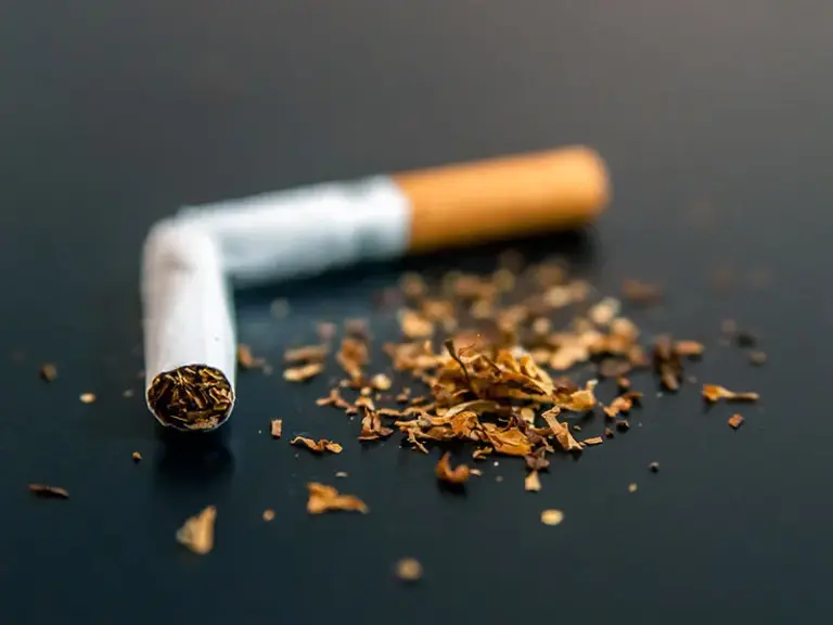 Tabaco y nicotina: CIJ alerta sobre el impacto en la salud y refuerza su atención a nivel nacional