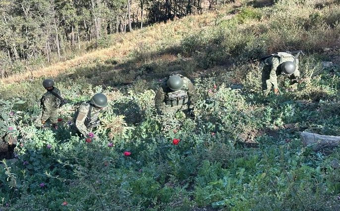 Gabinete de Seguridad, golpes millonarios al crimen organizado