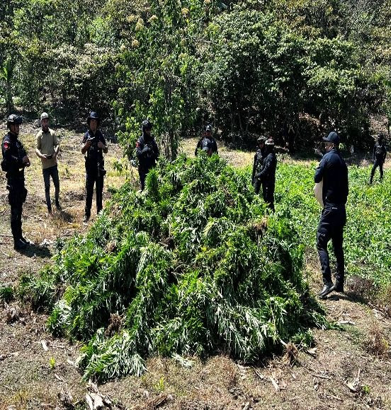 En acciones coordinadas el Gabinete de Seguridad mantiene el combate al crimen organizado