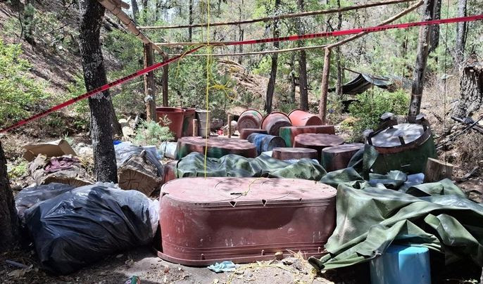 Operación Frontera Norte ha incautado 31.7 toneladas de droga