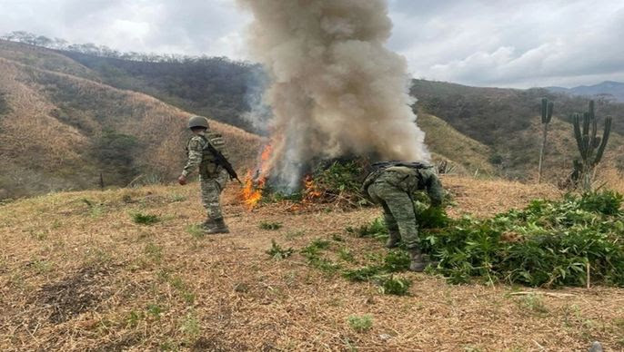 Gabinete de Seguridad, conoce las acciones más relevantes desplegadas en 17 estados del país
