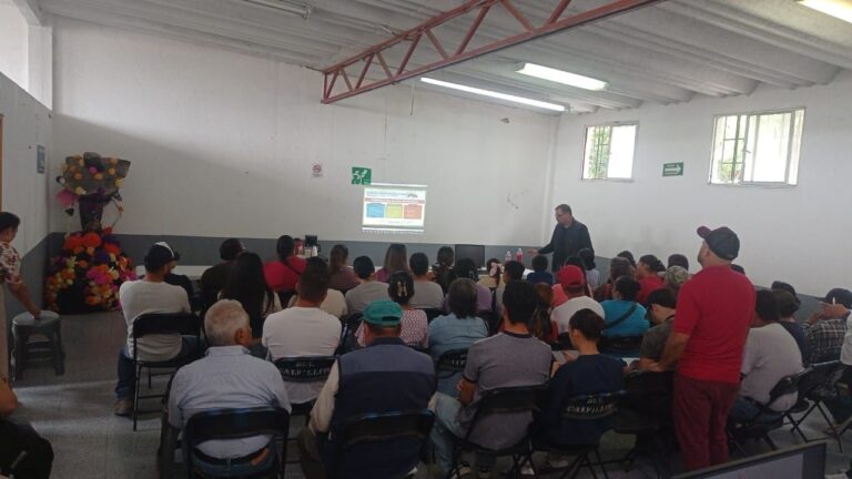 Impartirán cursos de regulación sanitaria en Peñuelas