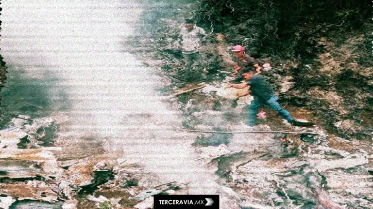 Avioneta cae en operativo binacional contra plaga de gusano barrenador; hay tres muertos en Chiapas