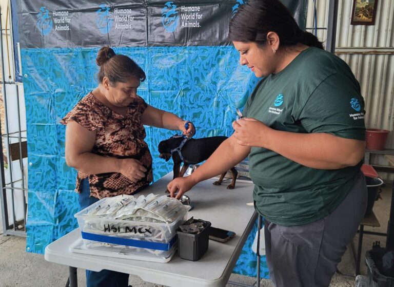 Anuncia municipio de Aguascalientes nuevas fechas de la Clínica Veterinaria Móvil