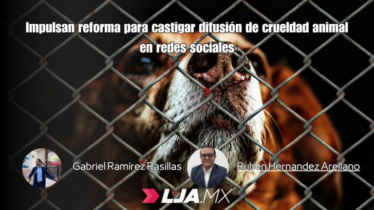 Impulsan reforma para castigar difusión de crueldad animal en redes sociales