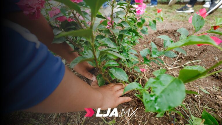 Municipio realiza jornada de arborización en el parque Luis Donaldo Colosio
