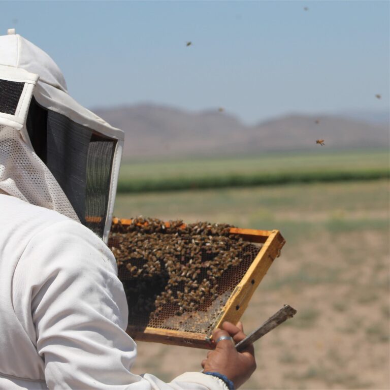 Hermes Honey: Tradición, conciencia y raíces