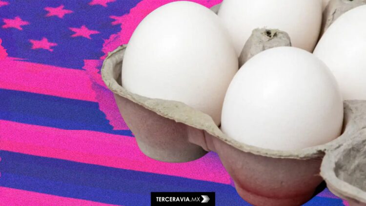 FDA y CDC investigan brote de salmonela vinculado a huevos contaminados distribuidos en supermercados de EEUU