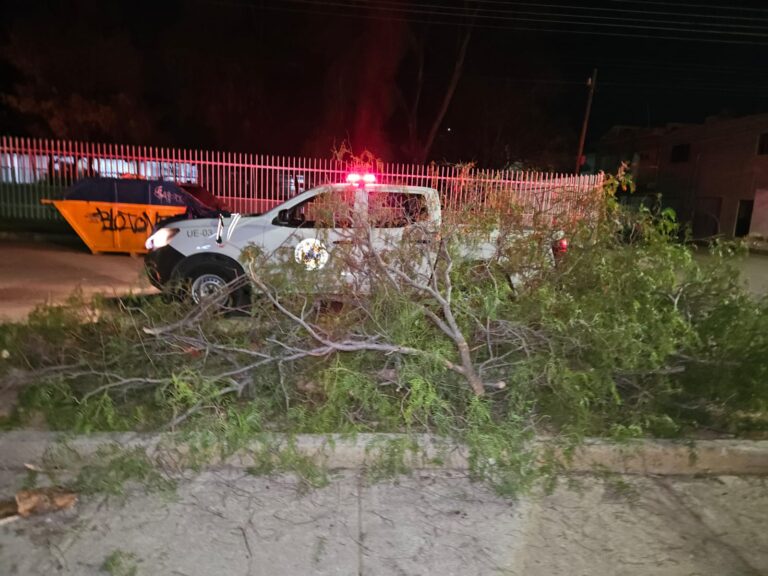 Municipio de Aguascalientes atiende contingencias por lluvia y fuertes vientos