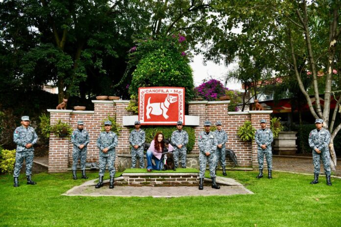 Cuarenta binomios caninos de la Guardia Nacional concluyen su servicio