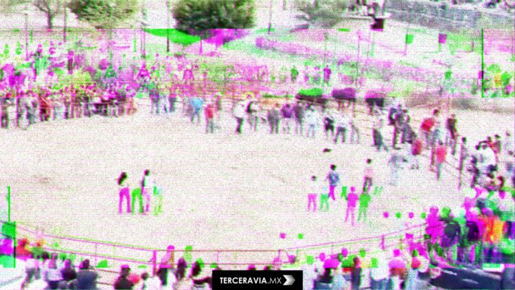 Maltrato animal en Xichú: indignación por uso de gatos en evento festivo