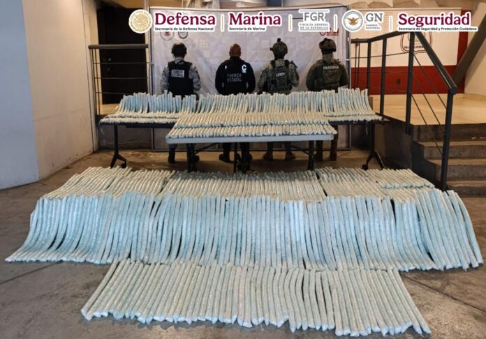 Baja California, se aseguraron cerca de 300 kilos de metanfetamina ocultos en un vehículo de carga