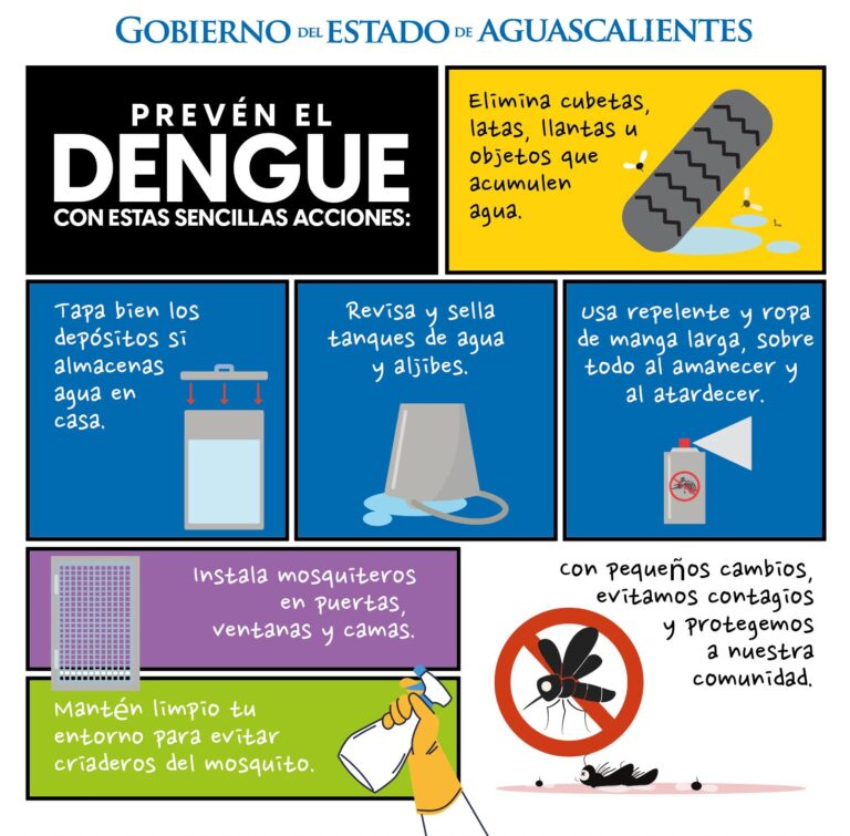 Gobierno del Estado de Aguascalientes emite recomendaciones para prevenir el dengue