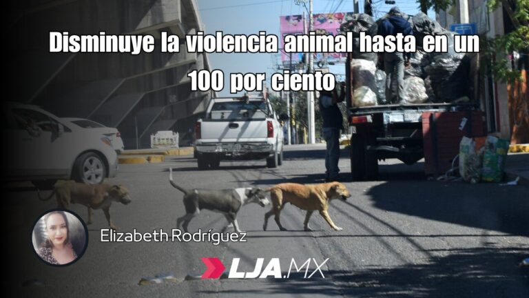 Disminuye la violencia animal hasta en un 100 por ciento: Héctor Anaya