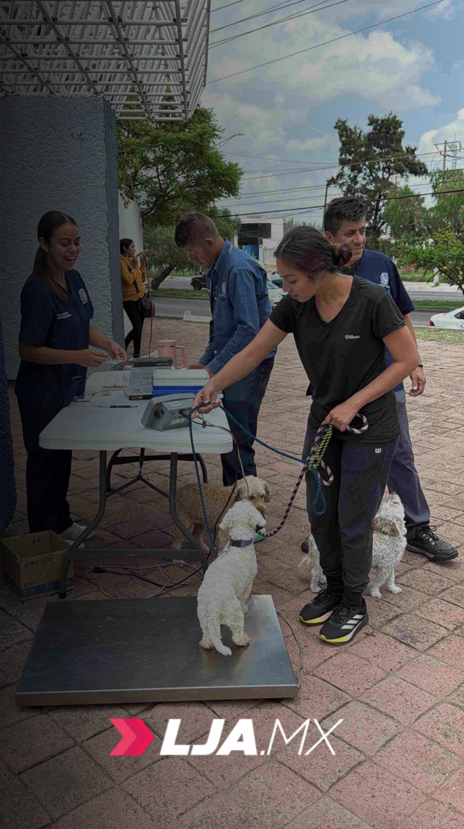 Quirófano veterinario móvil ofrecerá esterilización gratuita en Pozo Bravo y Peñuelas en Aguascalientes