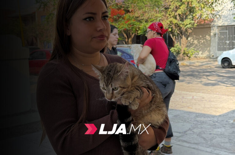 Nuevas fechas para esterilizaciones gratuitas caninas y felinas en Aguascalientes