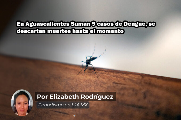 En Aguascalientes Suman 9 casos de Dengue, se descartan muertes hasta el momento