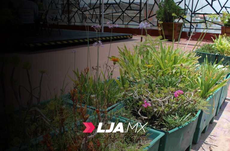 Reconocen al IMPLAN por prácticas de cuidado ambiental en Aguascalientes