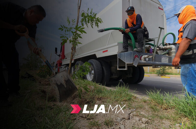 Mega reforestación en Jesús María, se plantaron más de 300 ejemplares de distintas especies