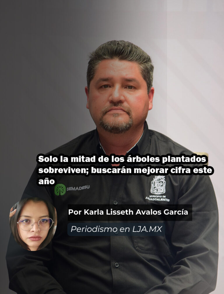 Solo la mitad de los árboles plantados sobreviven; buscarán mejorar cifra este año en Aguascalientes