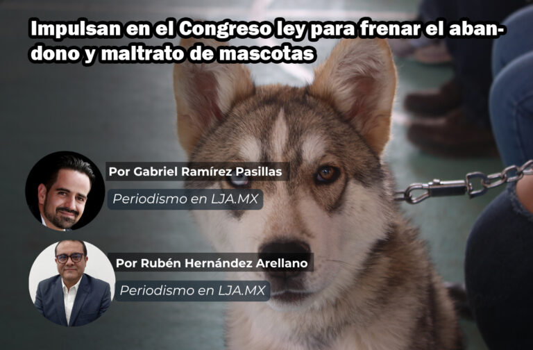 Impulsan en el Congreso ley para frenar el abandono y maltrato de mascotas en Aguascalientes