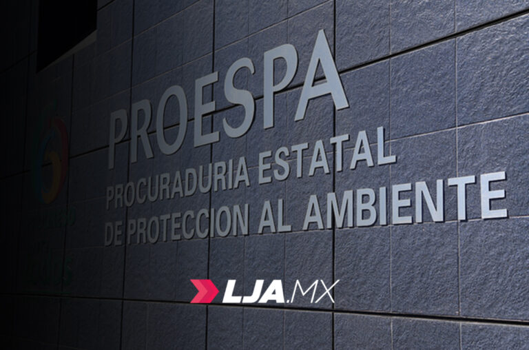 Rechazamos el reparto político y la simulación democrática en la Proespa