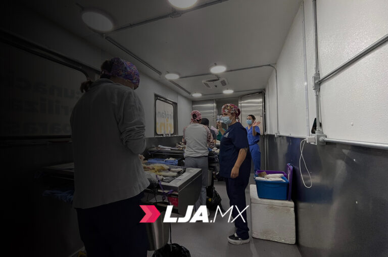 Nueva jornada de esterilización canina y felina gratuita en Aguascalientes