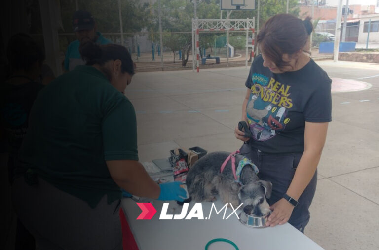 Clínica Veterinaria Móvil brindará servicio en las comunidades rurales en Aguascalientes