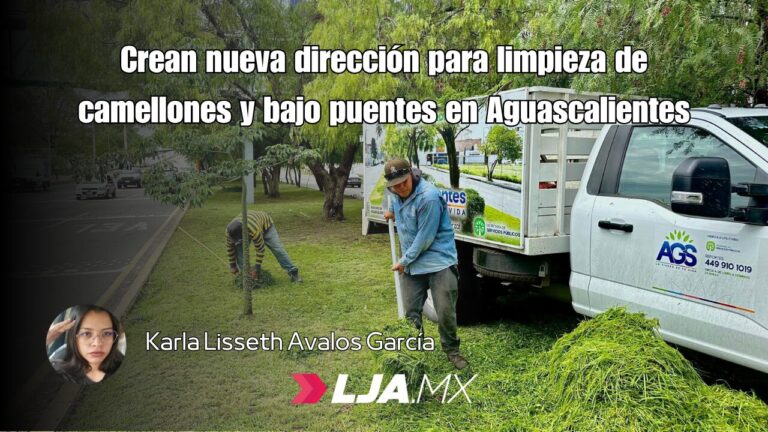 Crean nueva dirección para limpieza de camellones y bajo puentes en Aguascalientes