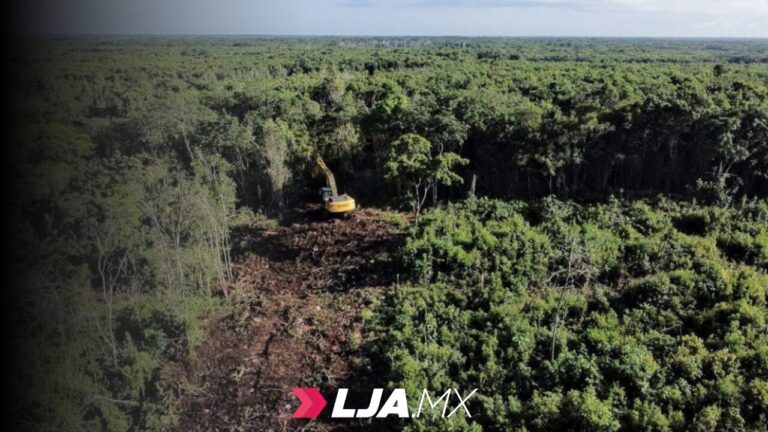 La SEDENA busca tirar 259 hectáreas más de selva para hacer rentable el Tren Maya