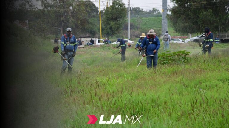 Intensifica Municipio labores de limpieza y mantenimiento ante temporada de lluvias