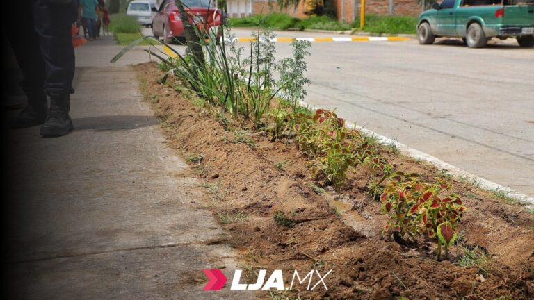 Reforestación para promover espacios seguros y sustentables en Jesús María