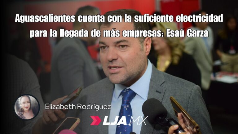 Aguascalientes cuenta con la suficiente electricidad para la llegada de más empresas: Esaú Garza
