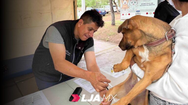 Quirófano veterinario móvil ofrecerá vacunación y desparasitación gratuitas en el fraccionamiento El Riego