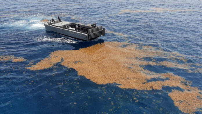 Marina suma más de 44 mil toneladas de sargazo recolectadas en Quintana Roo en 2025