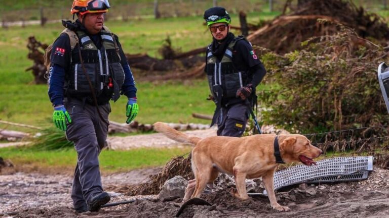 Así fue la participación de rescatistas y binomios caninos mexicanos en las labores de búsqueda tras las inundaciones en Texas