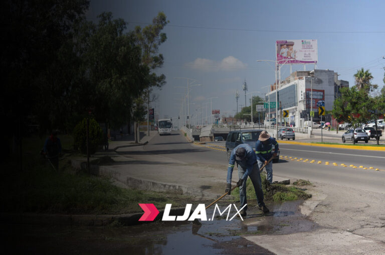 Municipio de Aguascalientes avanza en limpieza del Segundo Anillo