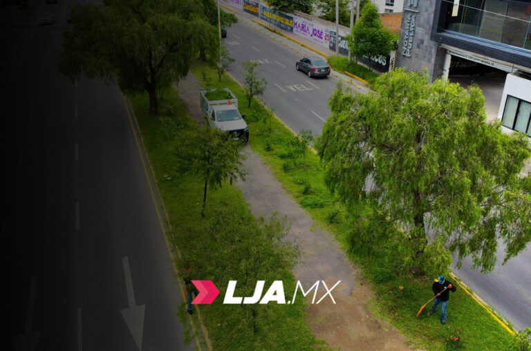 Municipio de Aguascalientes inicia la semana con limpieza intensiva en camellones