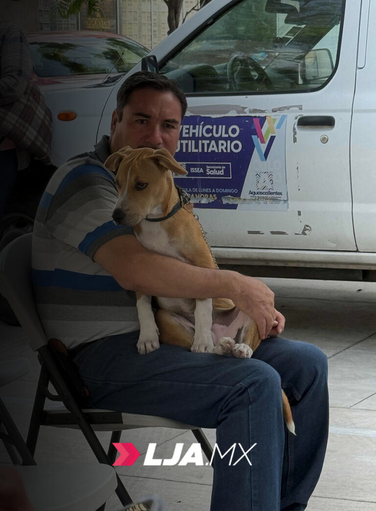 Nuevas fechas para esterilización gratuita de perros y gatos en Aguascalientes