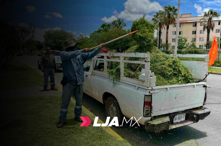 Municipio de Aguascalientes refuerza mantenimiento de camellón central de Primer Anillo