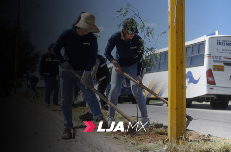 Ayuntamiento de Aguascalientes continúa con el programa “Aguas con tu árbol”