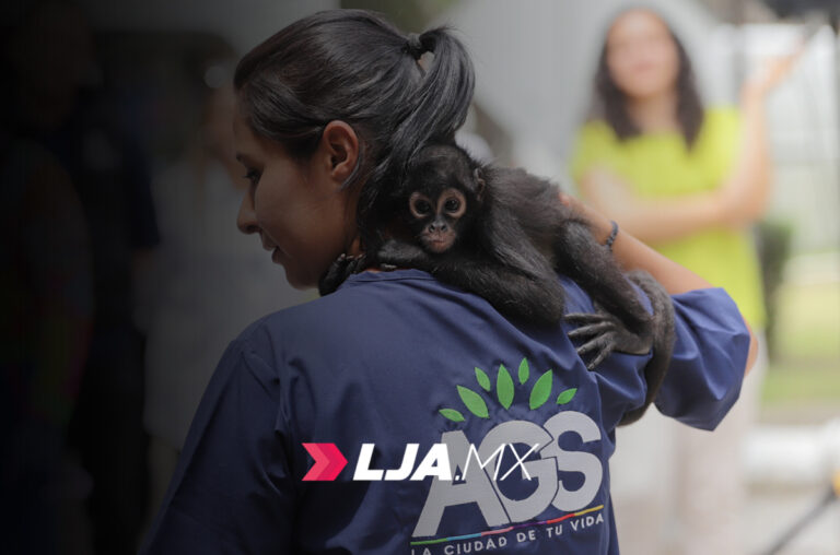 Parque Hidalgo en Aguascalientes invita a conocer a “Botitas”, su nuevo integrante