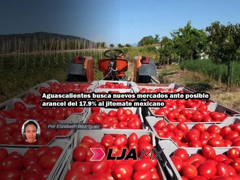 Aguascalientes busca nuevos mercados ante posible arancel del 17.9% al jitomate mexicano