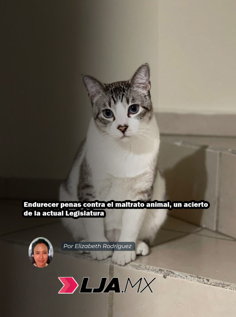 Endurecer penas contra el maltrato animal, un acierto de la actual Legislatura en Aguascalientes
